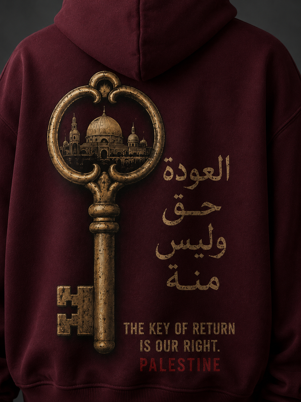 Key Of Return Oversized Hooded Sweatshirt