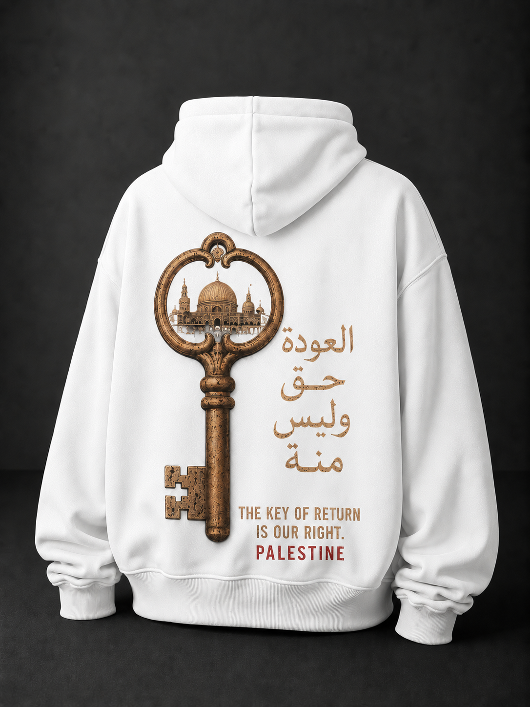 Key Of Return Oversized Hooded Sweatshirt