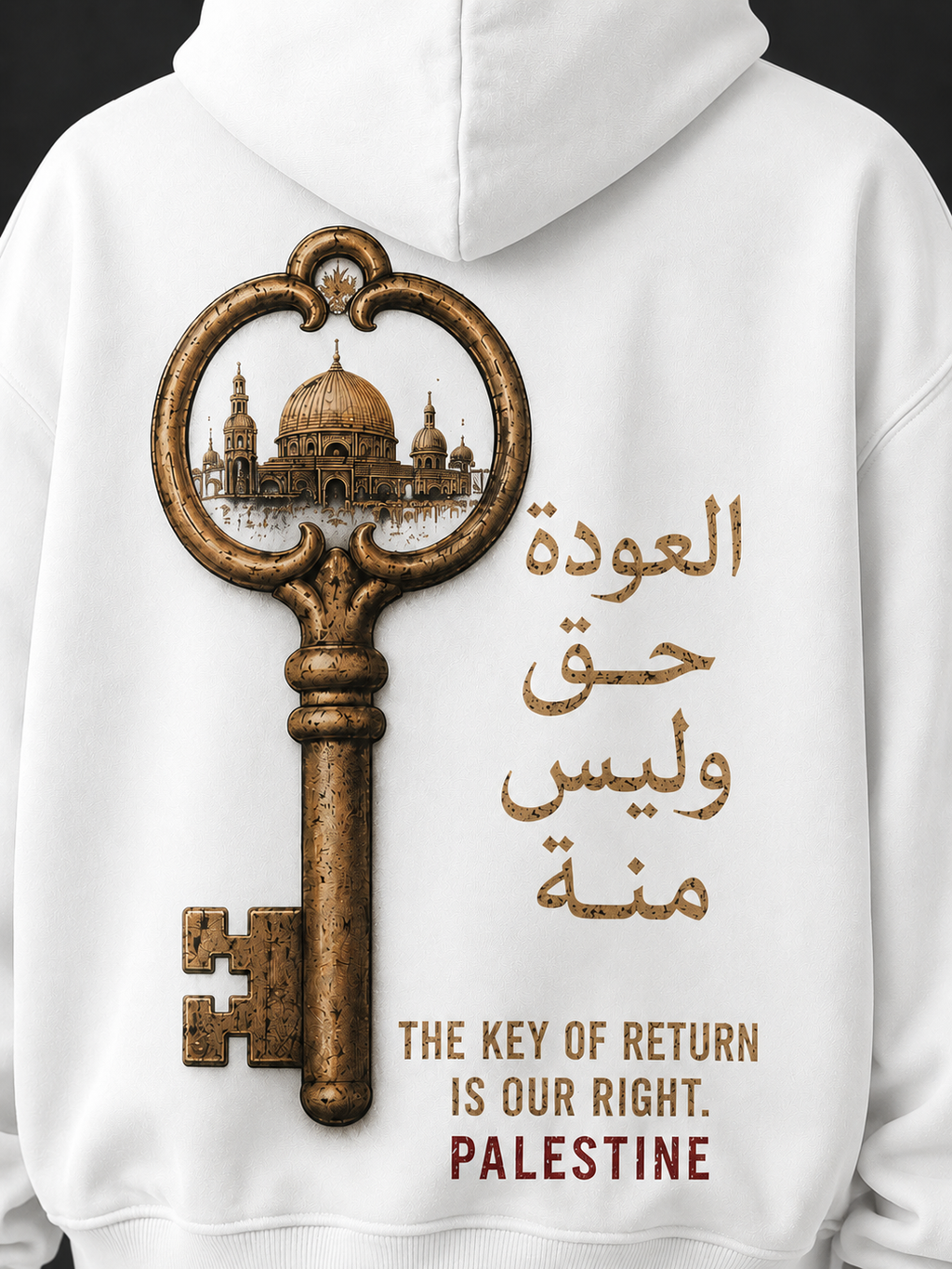 Key Of Return Oversized Hooded Sweatshirt