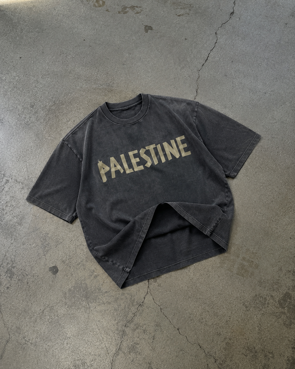 Stonewashed Resistance Oversized Tee